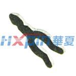 HXPIN-E006PIN 
